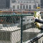 Prince Harry places a wreath at the World Trade Center site. It included a message from him saying  "In respectful memory of those who lost their lives on September 11, 2001, and in admiration of the courage shown by the people of this great city on that day."